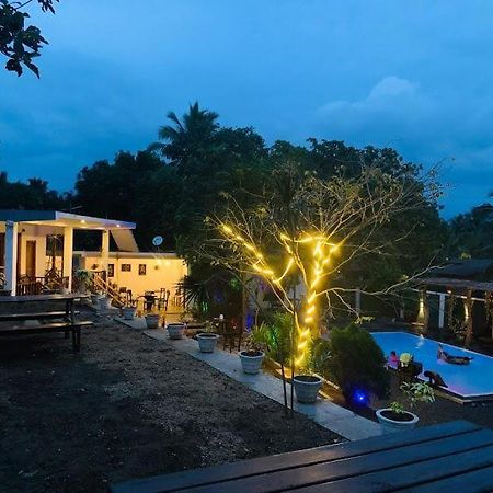 Lily Resort Udawalawe Eksteriør bilde