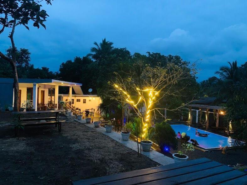 Lily Resort Udawalawe Eksteriør bilde