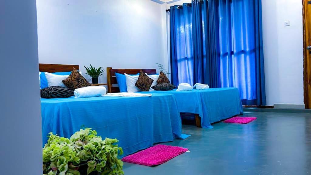 Lily Resort Udawalawe Eksteriør bilde